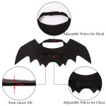 Pet Accessories Supplier - Bat Wing Pumpkin Jingle Bells