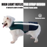 Dog Clothes Factory - Fashion Designer Autumn Winter Thicken