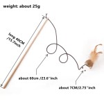 Cat Teaser Toys Supplier - Interactive Wand Fish Pole Bird