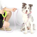 Dog Leash Supplier - Premium Nylon 4 in 1 Adjustable