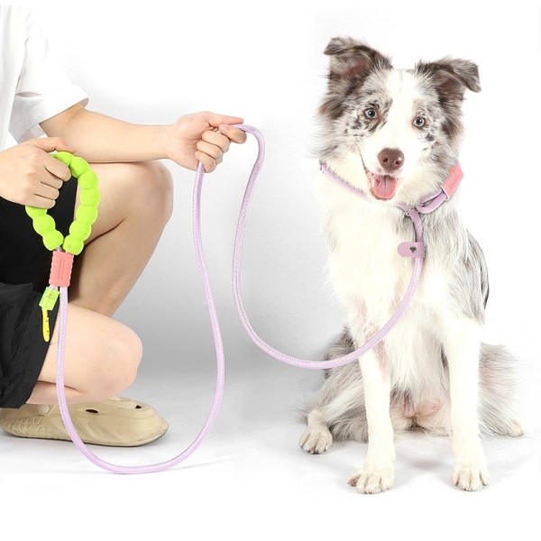 Dog Leash Supplier - Premium Nylon 4 in 1 Adjustable