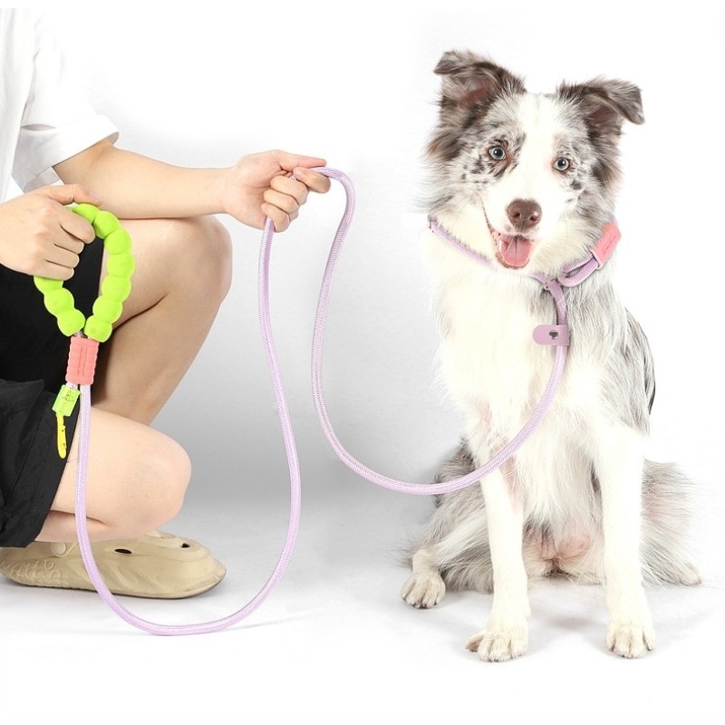 Dog Leash Supplier - Premium Nylon 4 in 1 Adjustable