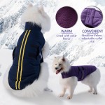 Dog Clothes Factory - Fashion Designer Autumn Winter Thicken