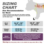 Dog Leash Factory - Quick Release Nylon Print Customized