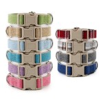 Pet Collar Supplier - Eco-Friendly Adjustable Hemp Metal