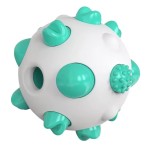 Dog Toothbrush Toy Factory - Eco-Friendly TPR Resilient Spherical