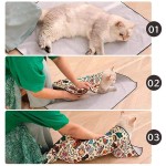 Pet Restraint Bag Supplier - Self-Adhesive Anti Bite Scratch