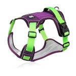 Dog Harness Manufacturer - Hot Selling Nylon Breathable Vest