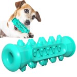 Dog Toothbrush Toy Supplier - Bones Molar Gnawing Cleaning