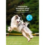 Dog Toy Ball Supplier - Eco-Friendly TPR Floating Self-Entertainment