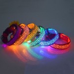 Dog Collar Factory - Led USB Rechargeable Glowing Flashing