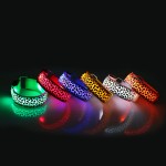 Dog Collar Factory - Led USB Rechargeable Glowing Flashing