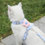 Pet Collar Set Manufacturer - Luxury Nylon Traction Ribbons