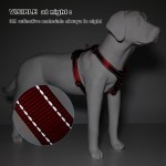 Dog Harness Vest Manufacturer - Sporty Escape Proof Airtag