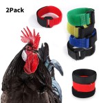Rooster Collar Manufacturer - Anti Noise Nylon Neck Belt