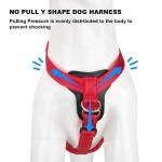 Dog Harness Vest Manufacturer - Sporty Escape Proof Airtag