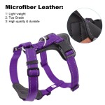 Dog Harness Vest Manufacturer - Sporty Escape Proof Airtag