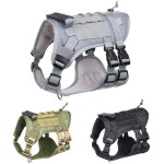 Pet Harness Set Supplier - Luxury Nylon Oxford Camouflage