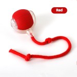 Cat Toy Ball Supplier - Silicone Interactive Obstacle Avoidance