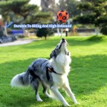 Dog Training Toy Supplier - Eco-Friendly Squeaky Interactive