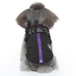 Pet Harness Factory - Winter Hot Sale Custom Designer