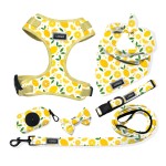 Dog Harness Set Factory - 6 in 1 Reversible Oxford Bow Tie