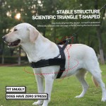 Dog Harness Set Factory - Luxury Simple Nylon Camouflage