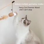 Cat Teaser Toys Supplier - Interactive Wand Fish Pole Bird