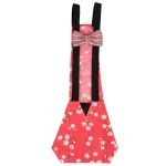Pet Diaper Harness Manufacturer - Fashionable Goose Chicken Duck