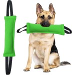 Dog Training Bite Stick Manufacturer - Anti-Tear Chew Toy Target