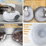 Cat Toy Tunnel Manufacturer - Double-layer Composite Detachable