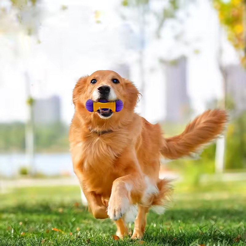 Dog Toys Manufacturer - Wholesale Puppy Molar Rubber