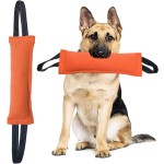 Dog Training Bite Stick Manufacturer - Anti-Tear Chew Toy Target