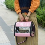 Bird Travel Bag Supplier - Portable Parrot Pigeon Lizard Cage