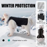 Dog Clothes Factory - Fashion Designer Autumn Winter Thicken