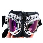 Dog Sunglasses Manufacturer - UV Protection Wind Dust Fog