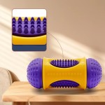 Dog Toys Manufacturer - Wholesale Puppy Molar Rubber