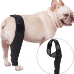 Pet Leg Protectors Manufacturer - Knee Surgery Protective Braces
