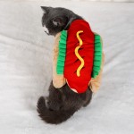 Pet Costume Factory - Hamburger Halloween Transformation