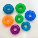 Dog Chew Toys Manufacturer - TPR Indestructible Squeaky Ring