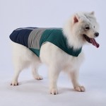 Dog Clothes Factory - Fashion Designer Autumn Winter Thicken