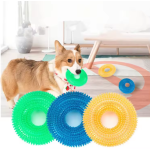 Dog Chew Toys Manufacturer - TPR Indestructible Squeaky Ring