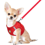 Cat Vest Harness Manufacturer - Sport Style Anti-Escape Breathable