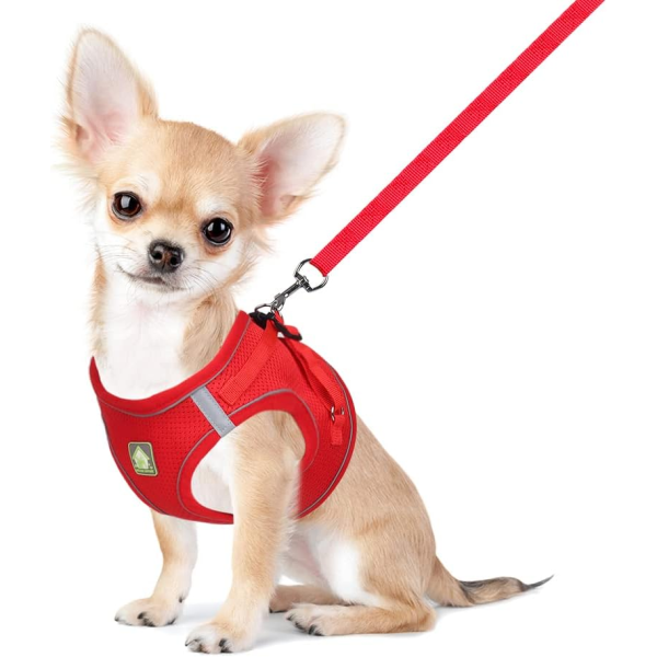 Cat Vest Harness Manufacturer - Sport Style Anti-Escape Breathable