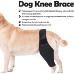 Pet Leg Protectors Manufacturer - Knee Surgery Protective Braces