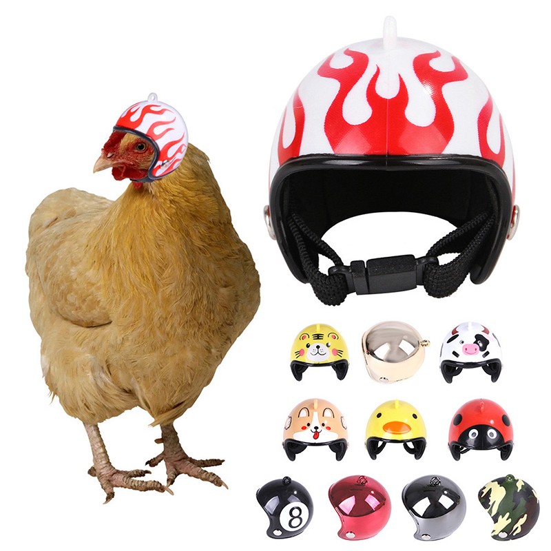 Chicken Helmet Supplier - Funny Parrot Bird Hat Headwear