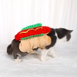 Pet Costume Factory - Hamburger Halloween Transformation