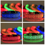 Dog Collar Factory - Led USB Rechargeable Glowing Flashing