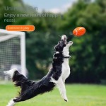 Dog Toy Supplier - Eco-Friendly Rugby Chew Squeaky Ball