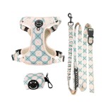 Dog Harness Set Factory - 6 in 1 Reversible Oxford Bow Tie